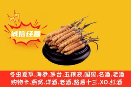 桓仁县回收冬虫夏草